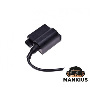 CDI UNIT/IGNITION COIL KATANA50/SKY50