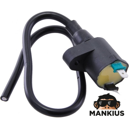 IGNITION COIL HONDA PEUGEOT TAIWAN