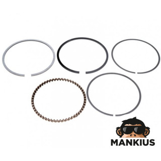 RING SET, PISTON 56,40 156FMI ENGINE