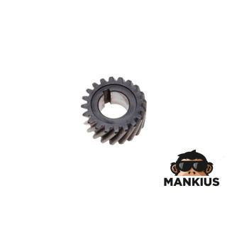 GEAR, CRANKSHAFT PRIMARY DRIVE AM6