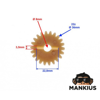 GEAR, OIL PUMP DRIVE NT:22 AM6