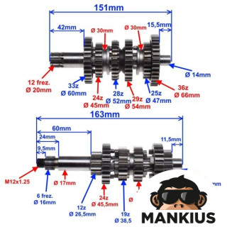 SHAFT SET, INPUT+OUTPUT AM6 UP TO 2015