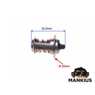 THERMOSTAT, WATER AM6 50CCM