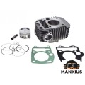 CILINDRŲ RINKINYS VARIKLIS LF120