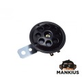 RAGAS 12V