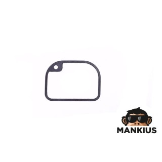TARPIKLIS, PLŪDĖS KAMERA MZ250 BVF 30N