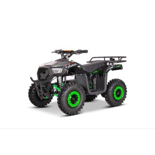 Vaikiškas Elektrinis keturratis Monkey Clarx E4 36V 1000W