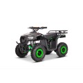 Vaikiškas Elektrinis keturratis Monkey Clarx E4 36V 1000W
