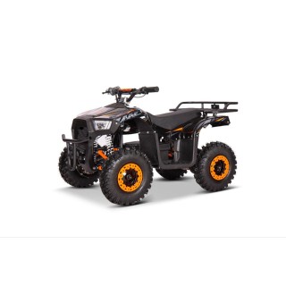 Vaikiškas Elektrinis keturratis Monkey Clarx E4 36V 1000W