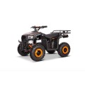 Vaikiškas Elektrinis keturratis Monkey Clarx E4 36V 1000W