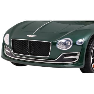 Bentley EXP12 Painted Green