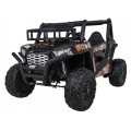 Vehicle Buggy UTV Black