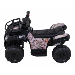 Vehicle Quad Storm Black