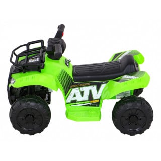 Vehicle Quad Storm Green