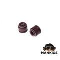 SEAL SET, VALVE STEM 4T GY6 2 SPRINGS 2PCS