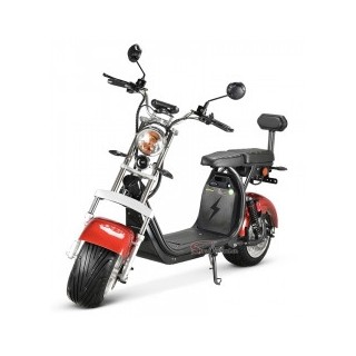 CITYCOCO CP-1.6N 1000W 20AH LI-ION