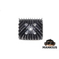 HEAD, CYLINDER S50 ORG