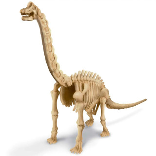 4M Vaikiška laboratorija: brachiozauro skeletas