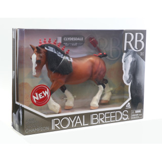 ROYAL BREEDS Žirgas čempionas