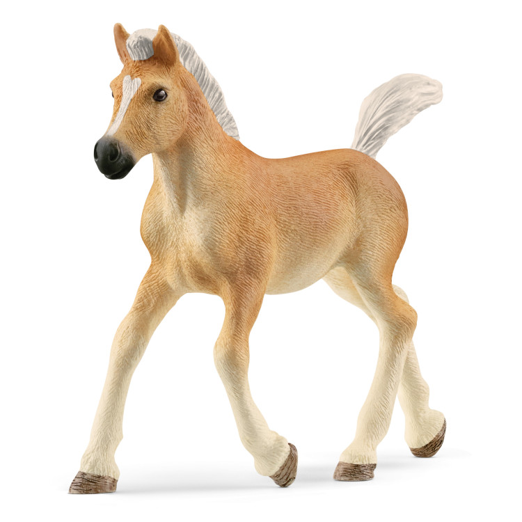 SCHLEICH HORSE CLUB Haflinger veislės kumeliukas