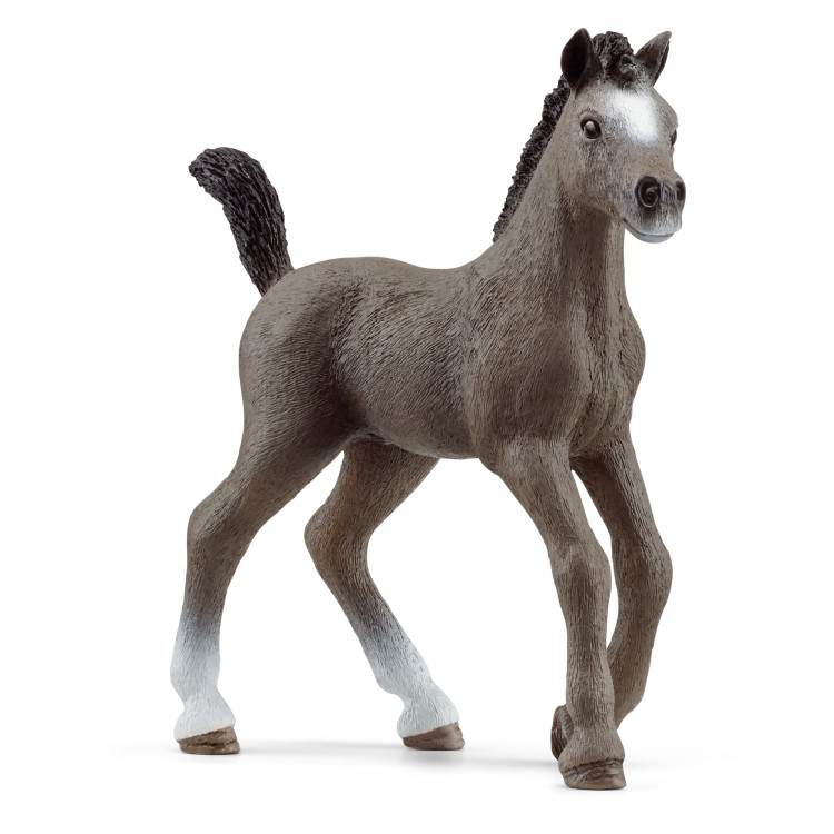 SCHLEICH HORSE CLUB Cheval de Selle Francais veislės kumeliukas