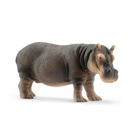 SCHLEICH WILD LIFE Begemotas