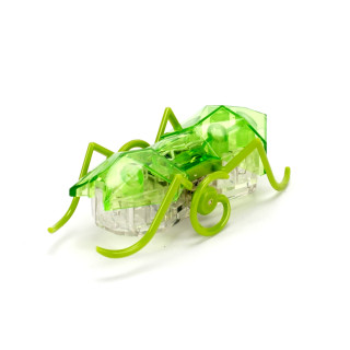 HEXBUG Interaktyvi skruzdėlė