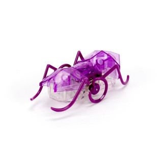 HEXBUG Interaktyvi skruzdėlė