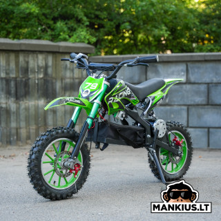 Elektrinis Krosinis Motociklas Monkey DB 1000w R10