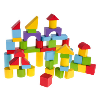 Wooden Block Set 50 pieces. + Sorter