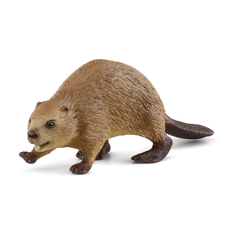 SCHLEICH WILD LIFE Bebras