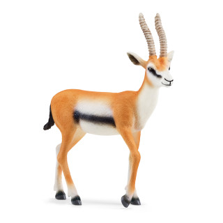 SCHLEICH WILD LIFE Tomsono gazelė