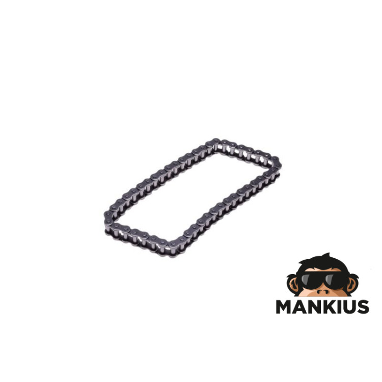 CHAIN, PRIMARY DRIVE WSK175 06C-T3x48