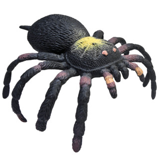 REP PALS Guminis tarantulas