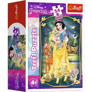 TREFL DISNEY PRINCESS dėlionė Princesės 54 det.