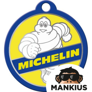 KEY RING MICHELIN 48043