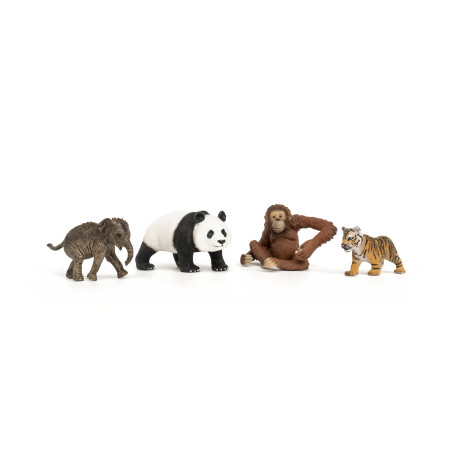 SCHLEICH WILD LIFE Wild Life Pradinis Rinkinys