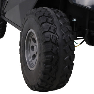 Buggy Clash 4x4 Vehicle Black