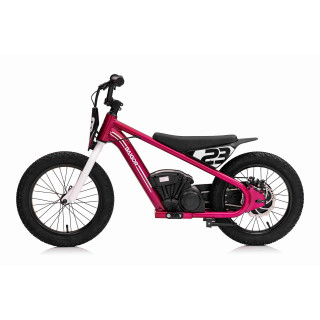 Motor BAIGOR 23 PRO Pink