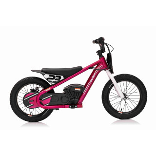 Motor BAIGOR 23 PRO Pink