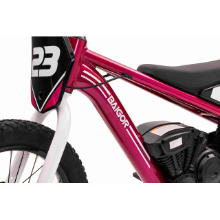 Motor BAIGOR 23 PRO Pink