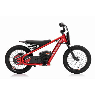 Motor BAIGOR 23 PRO Red