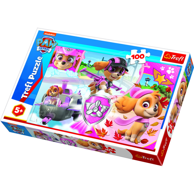 TREFL PAW PATROL dėlionė Šuniukai-patruliai , 100 det.