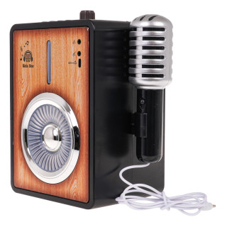 Amplifier with Bluetooth + Microphone function