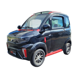 Elektrinis Mini Automobilis X9, 3000W 100Ah AC