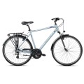 Dviratis Romet Wagant 1 2024 silver-blue-19" / M