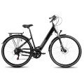 Elektrinis dviratis ProEco Wave AN 1.0 R 504Wh graphite-silver-19" / L