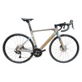 Dviratis CCT Team Race 28"