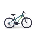 Dviratis X-Vert 24"