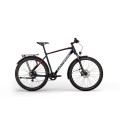 Dviratis MTC Base Gent 29"